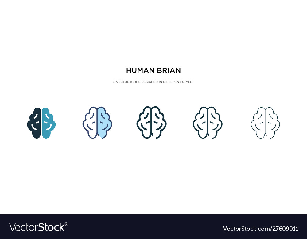 Human Brain Icon Set - Multiple Styles