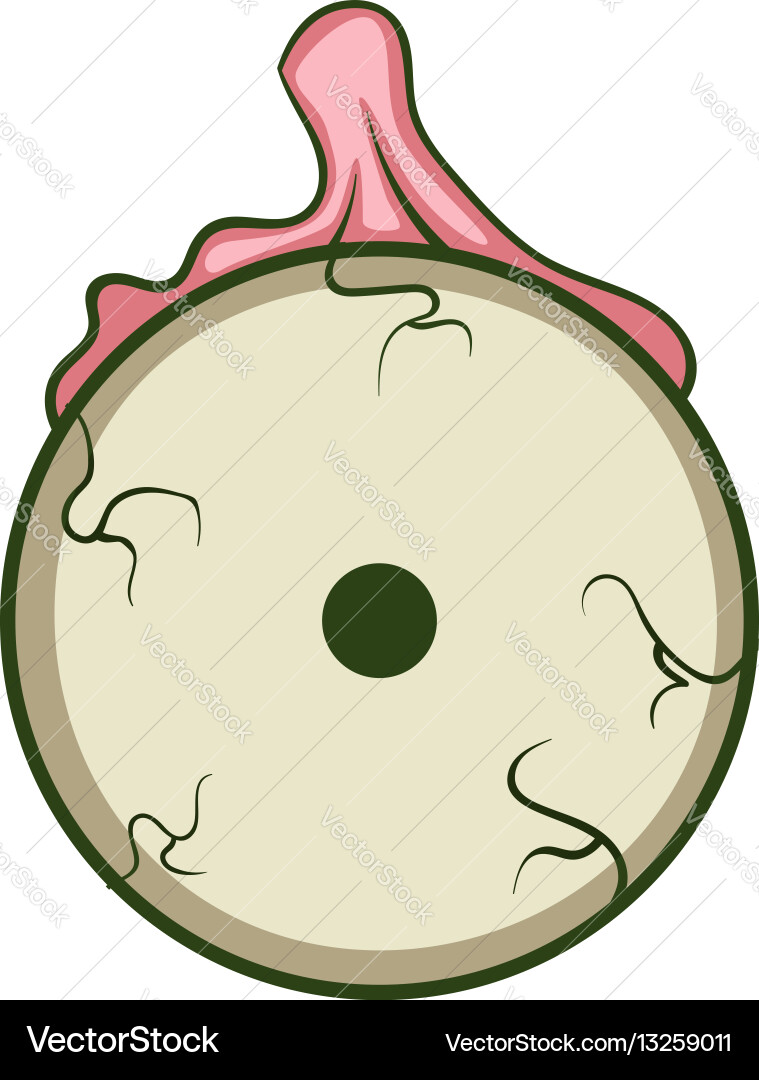 Zombie eyeball icon cartoon style Royalty Free Vector Image