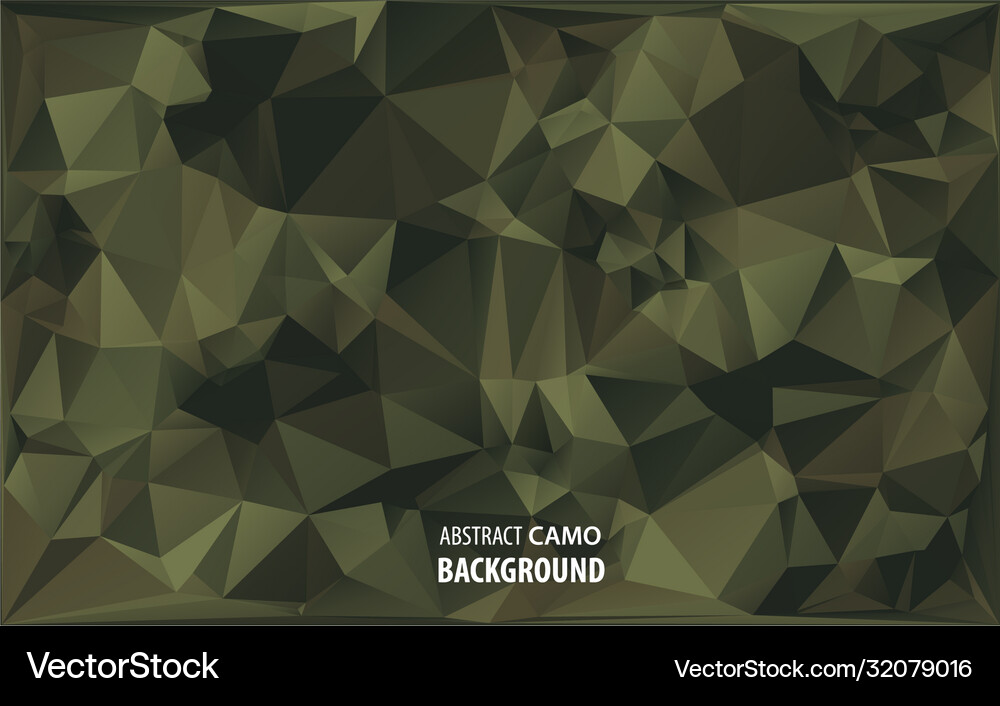 Abstract military camouflage background made Vector Image