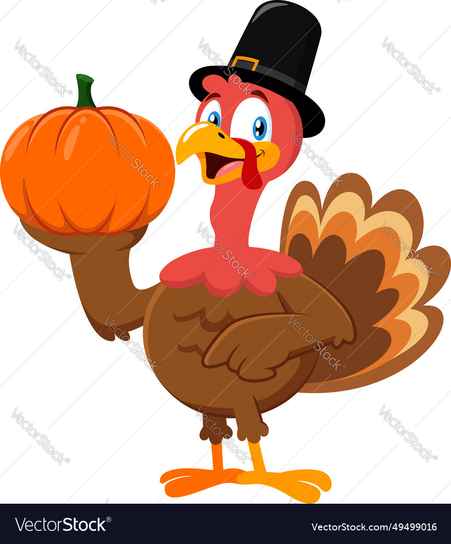 Cute pilgrim turkey cartoon character