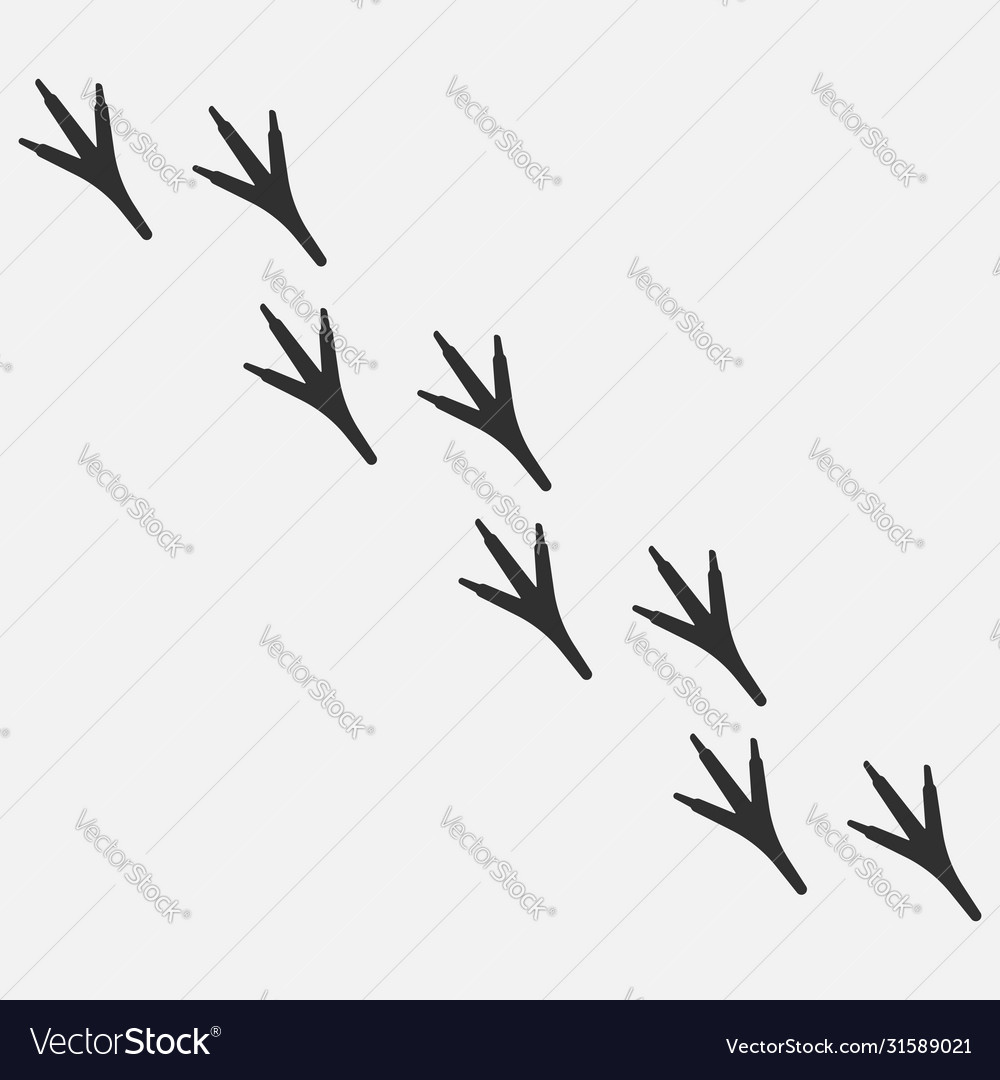 Chicken paw icon isolated on white background vector image Chicken paw icon isolated on white background