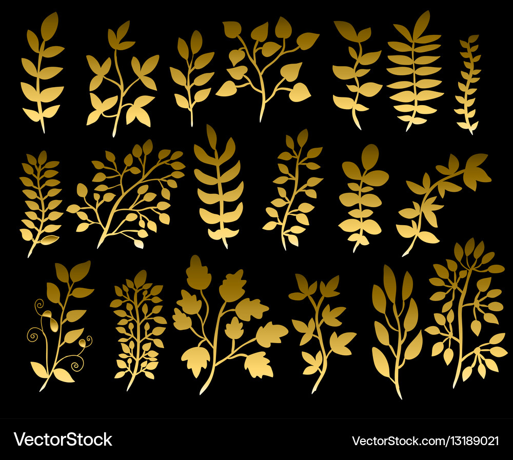Hand drawn floral elements set Royalty Free Vector Image