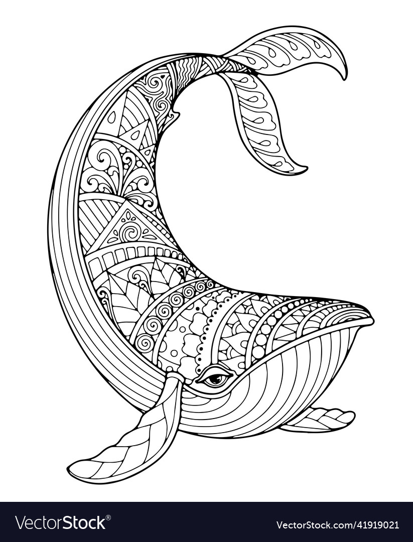 Whale Coloring page  Whale coloring pages, Whale tattoos, Whale drawing