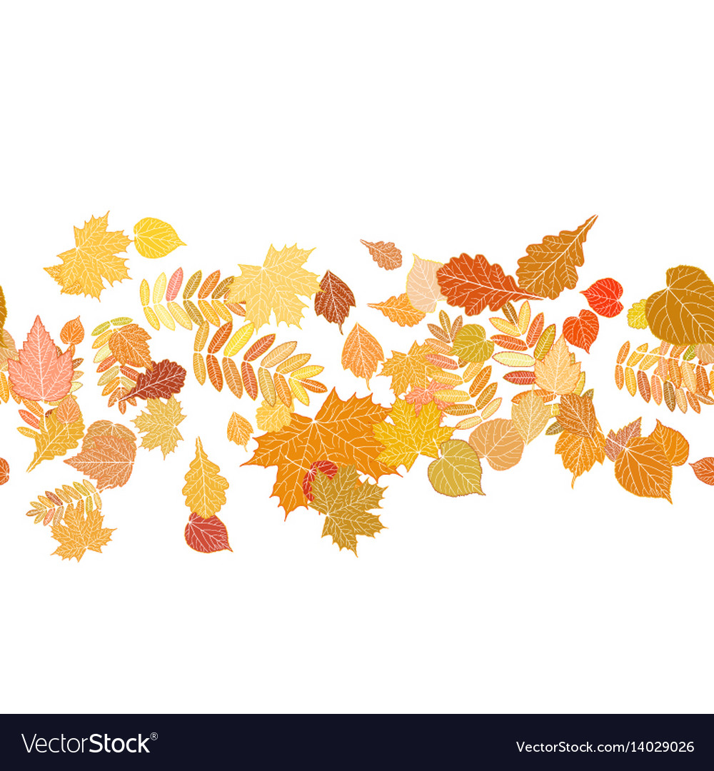 Autumn background with colorful leaves