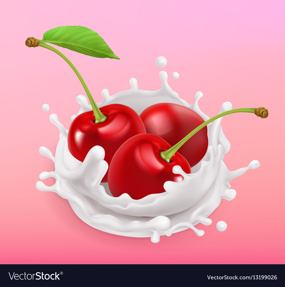 Cherry and milk splash Fruit and yogurt Realistic Vector Image