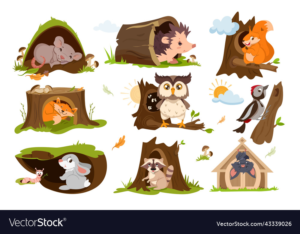 Forest animals sleep or hibernate in tree holes Vector Image