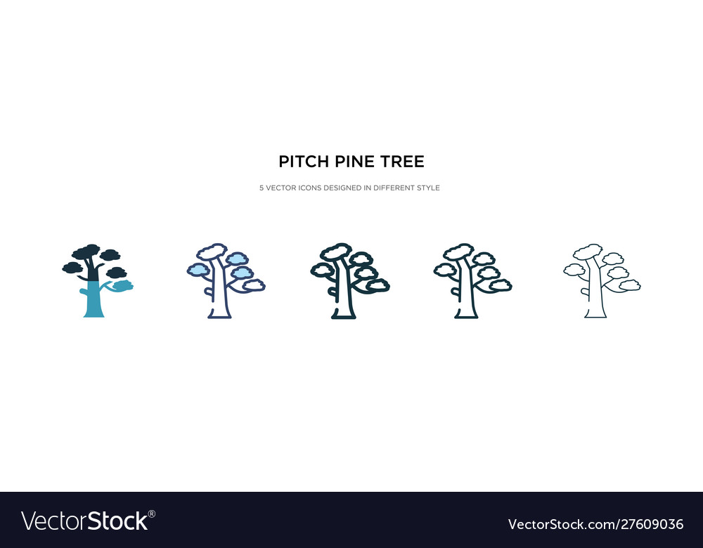 Pitch pine tree icon in different style two