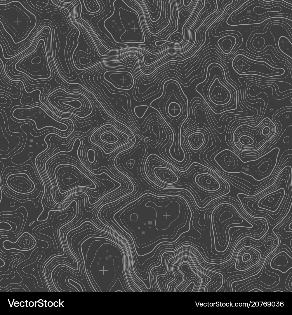 Seamless pattern topographic map background Vector Image