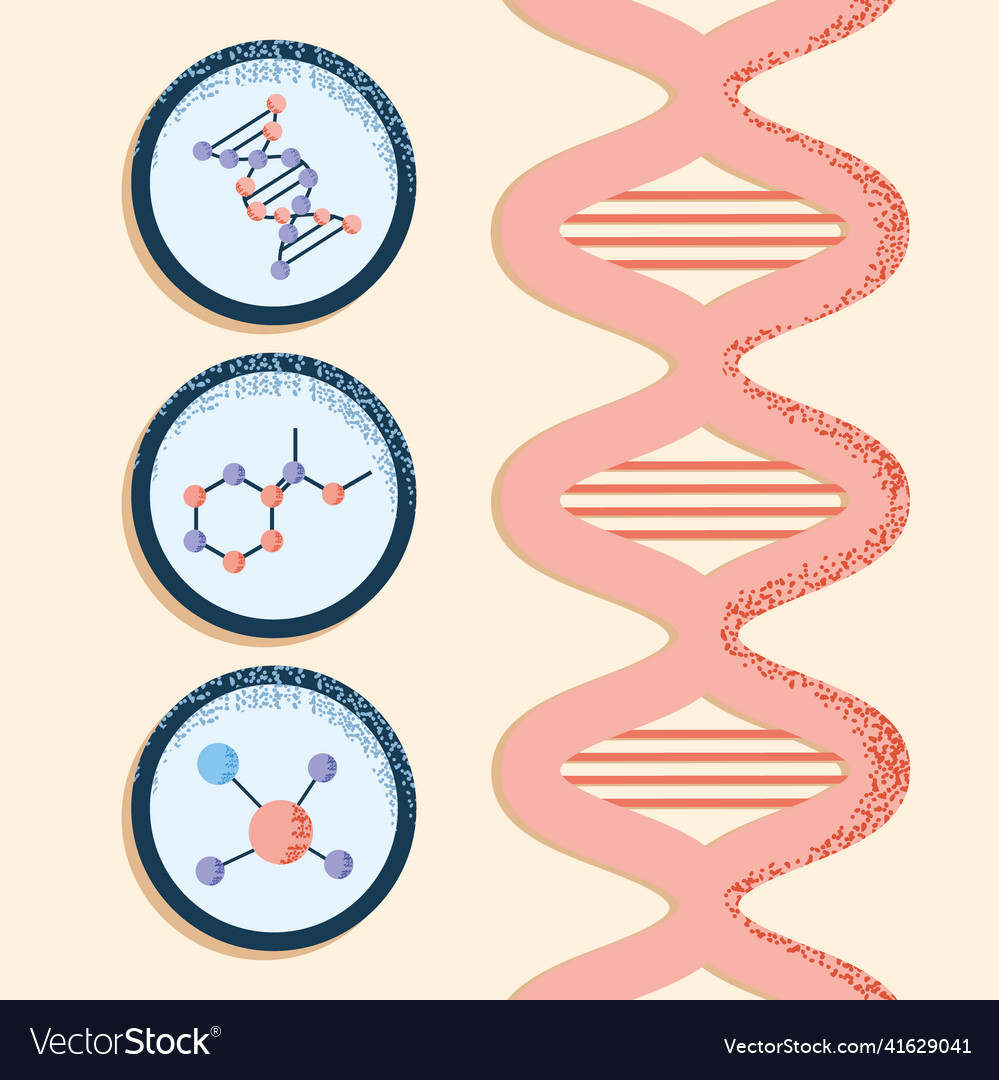 Dna structure biology Royalty Free Vector Image