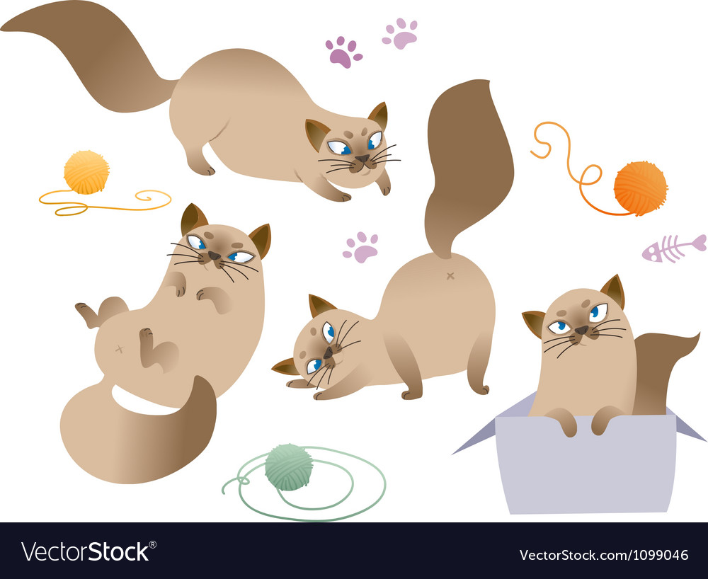 Playful cat vector Free Stock Vectors