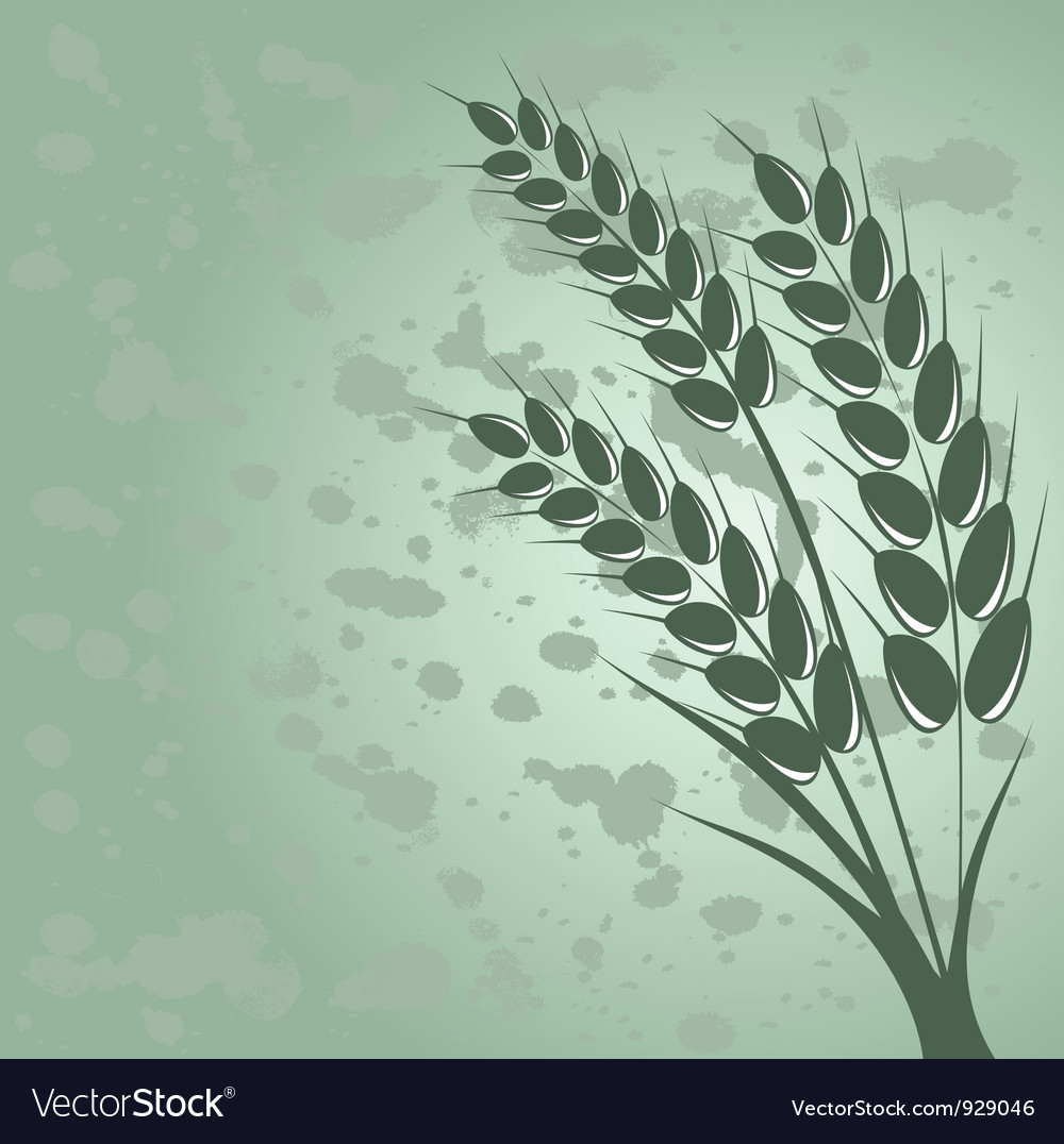 Wheat Field Background