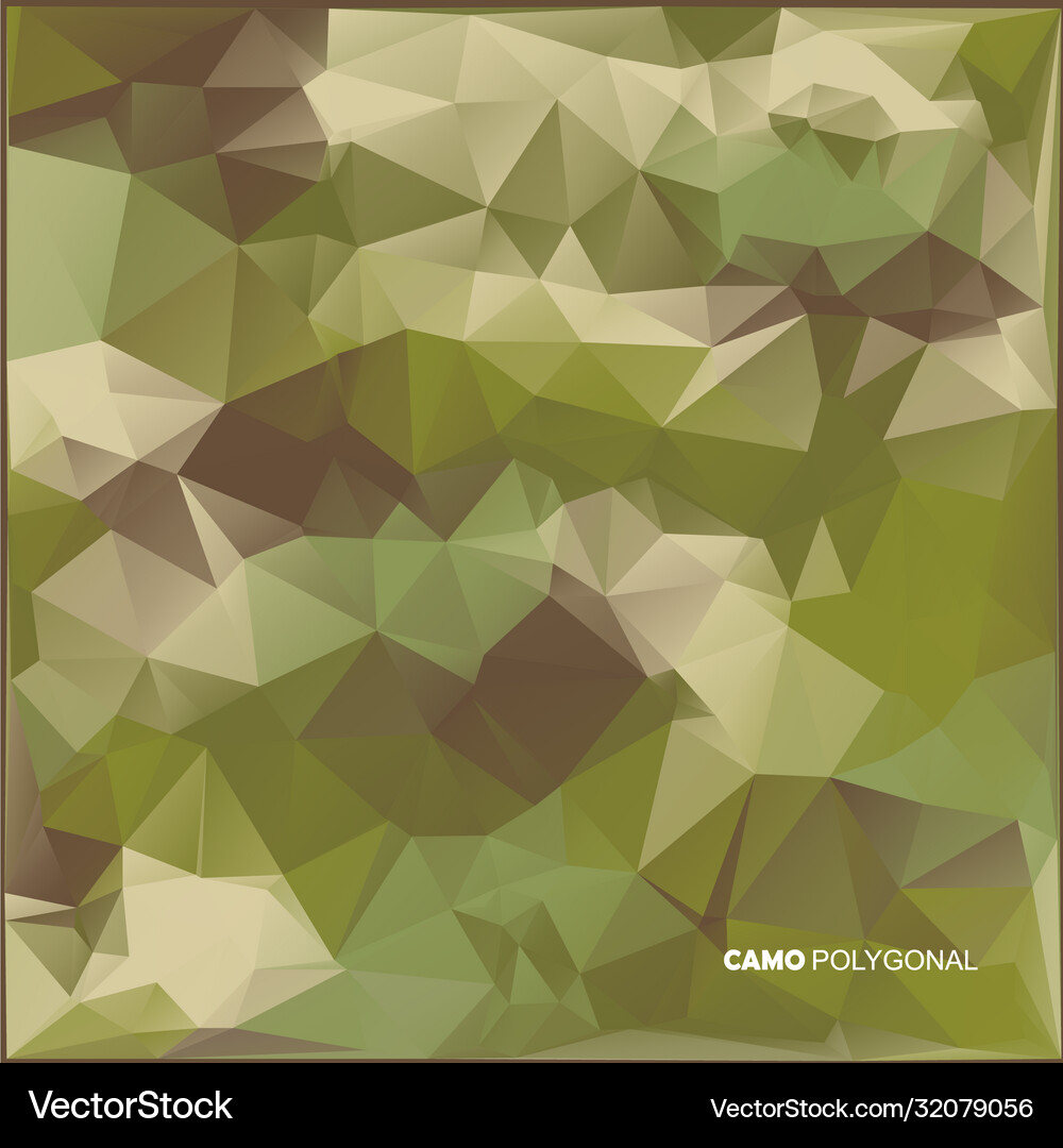 Abstract military camouflage background made Vector Image