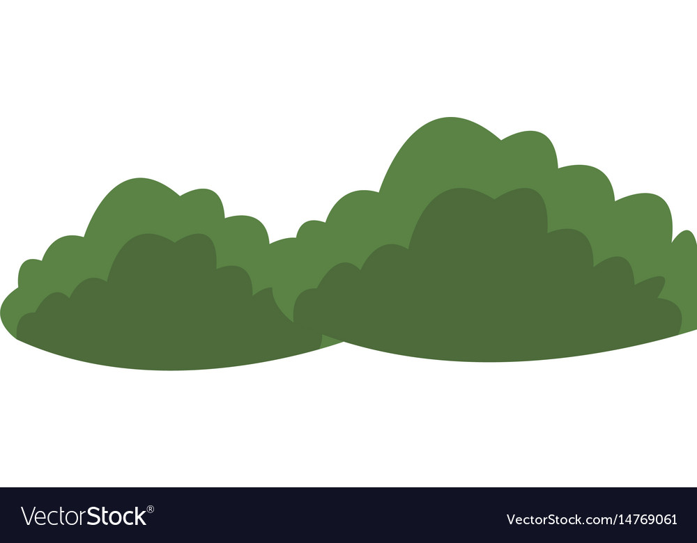 Green bushes natural foliage image Royalty Free Vector Image