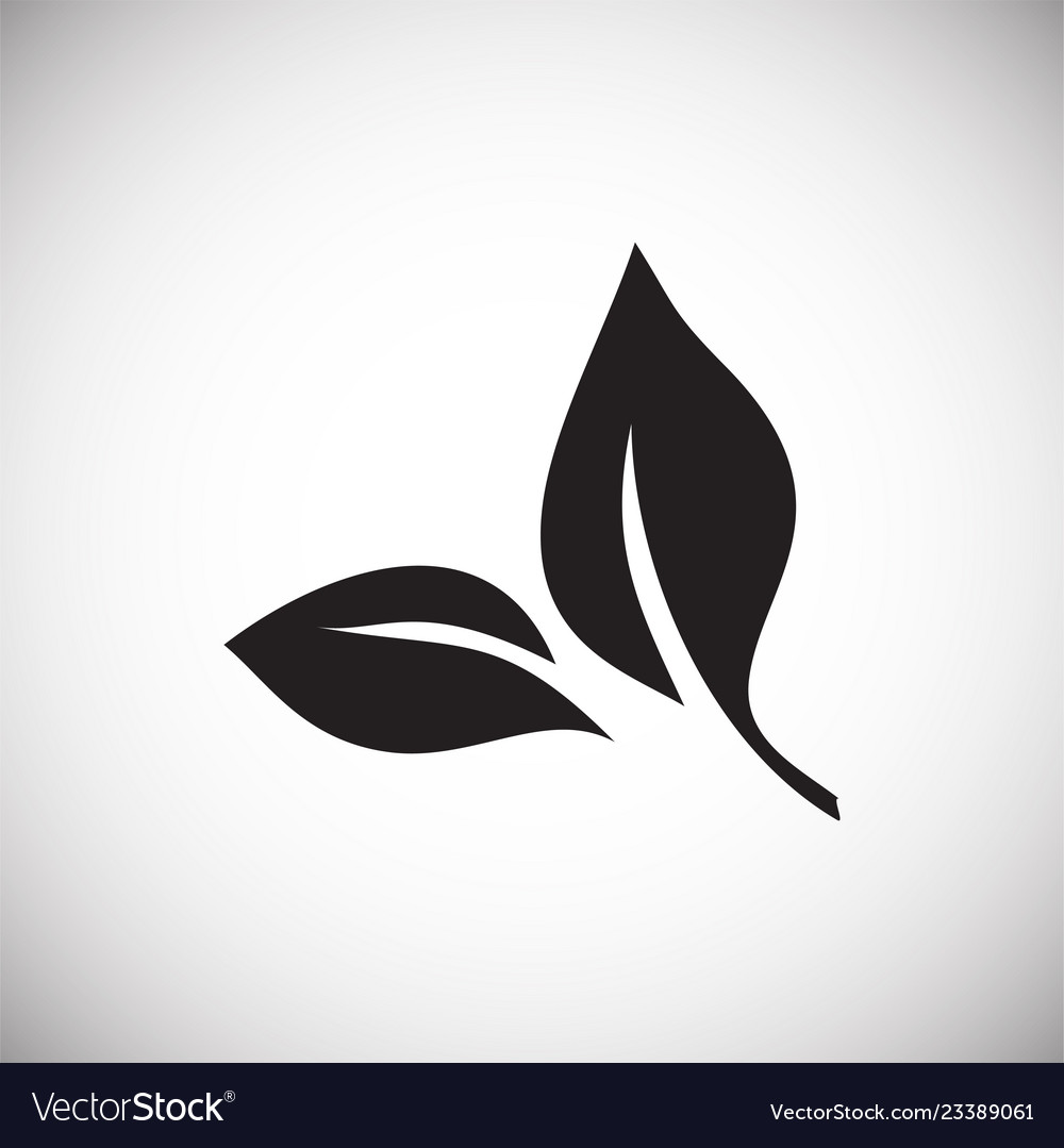 Leaf icon on white background for graphic and web vector image Leaf icon on white background for graphic and web