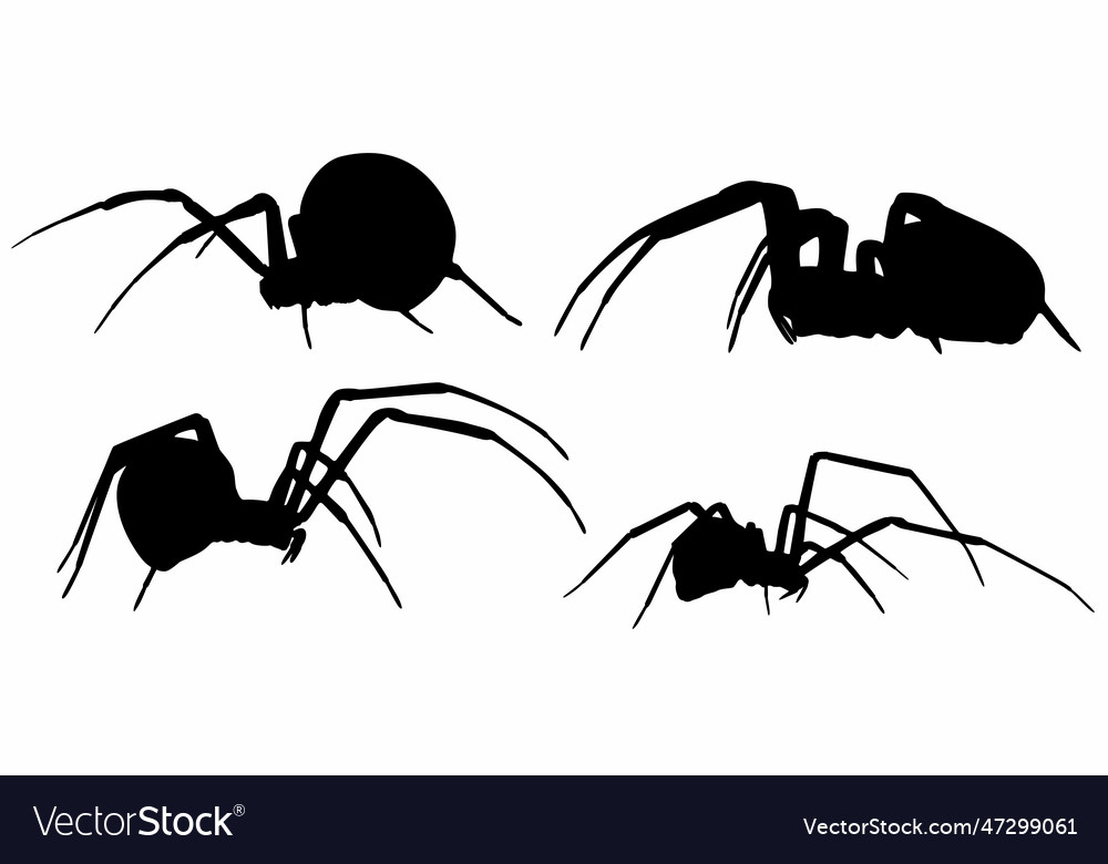 Set collections spider icon black silhouette Vector Image