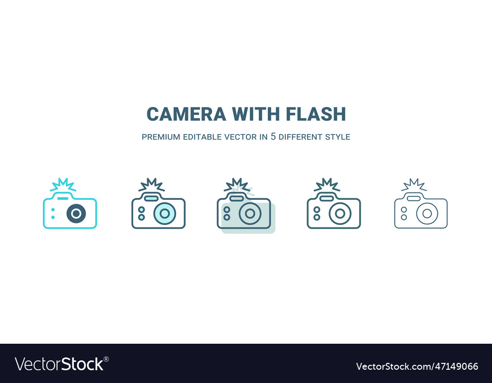 Camera with flash icon in 5 different style vector image Camera with flash icon in 5 different style