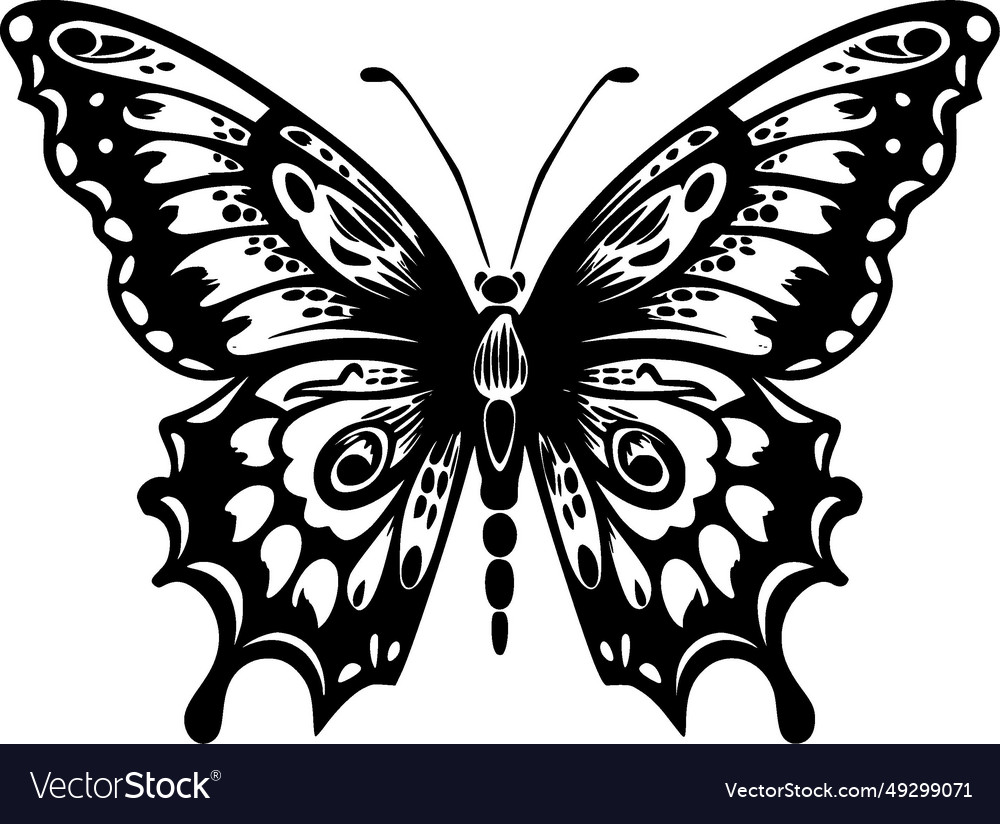 Butterfly - black and white Royalty Free Vector Image