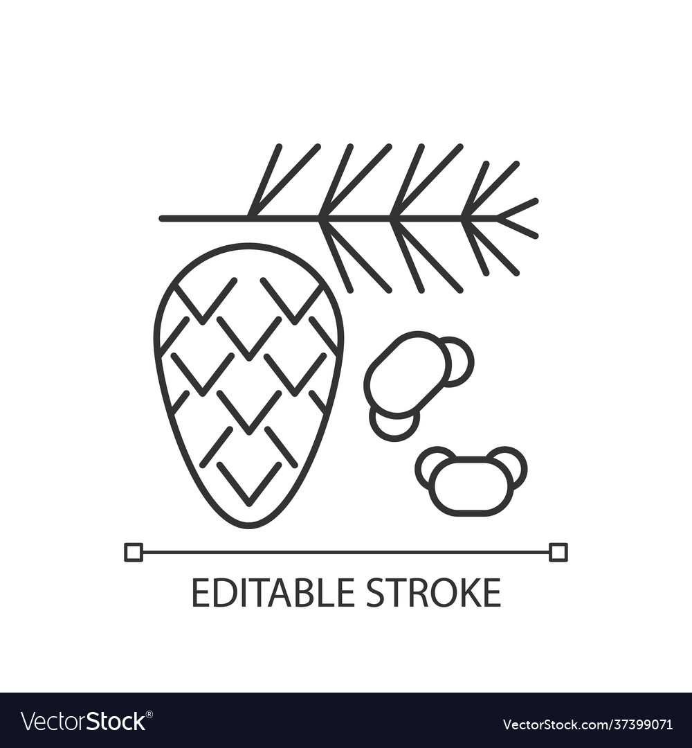 Cedar and pine tree pollen linear icon vector image Cedar and pine tree pollen linear icon