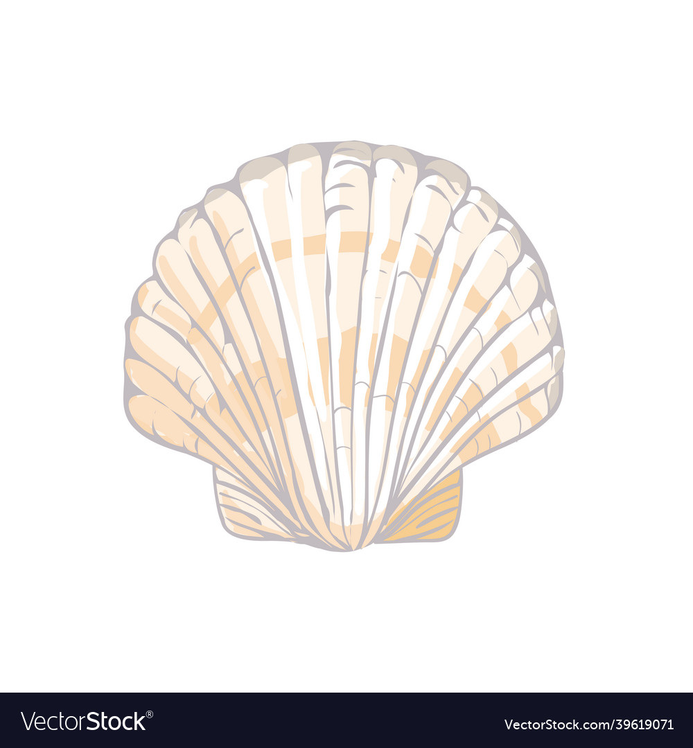 Cute pink sea shell hand drawn Royalty Free Vector Image