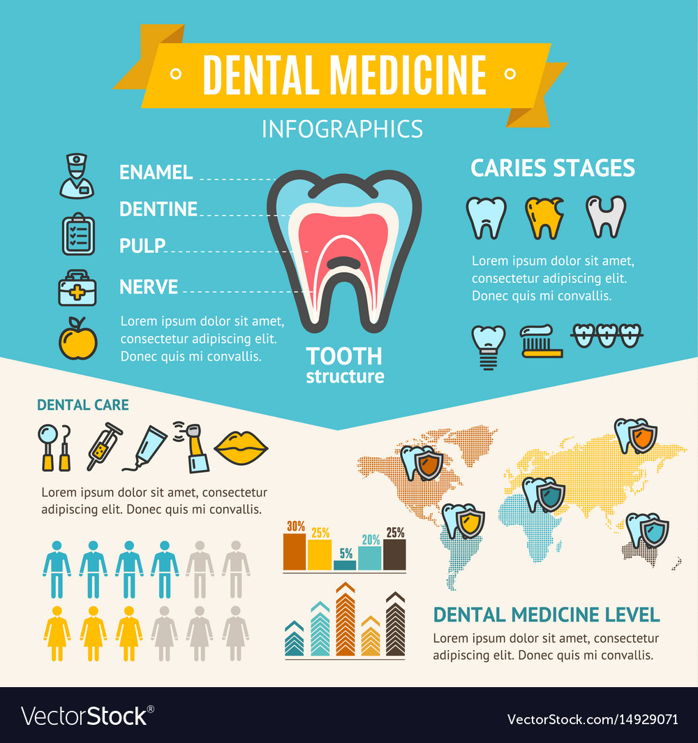 Dental medicine health care infographic banner Vector Image