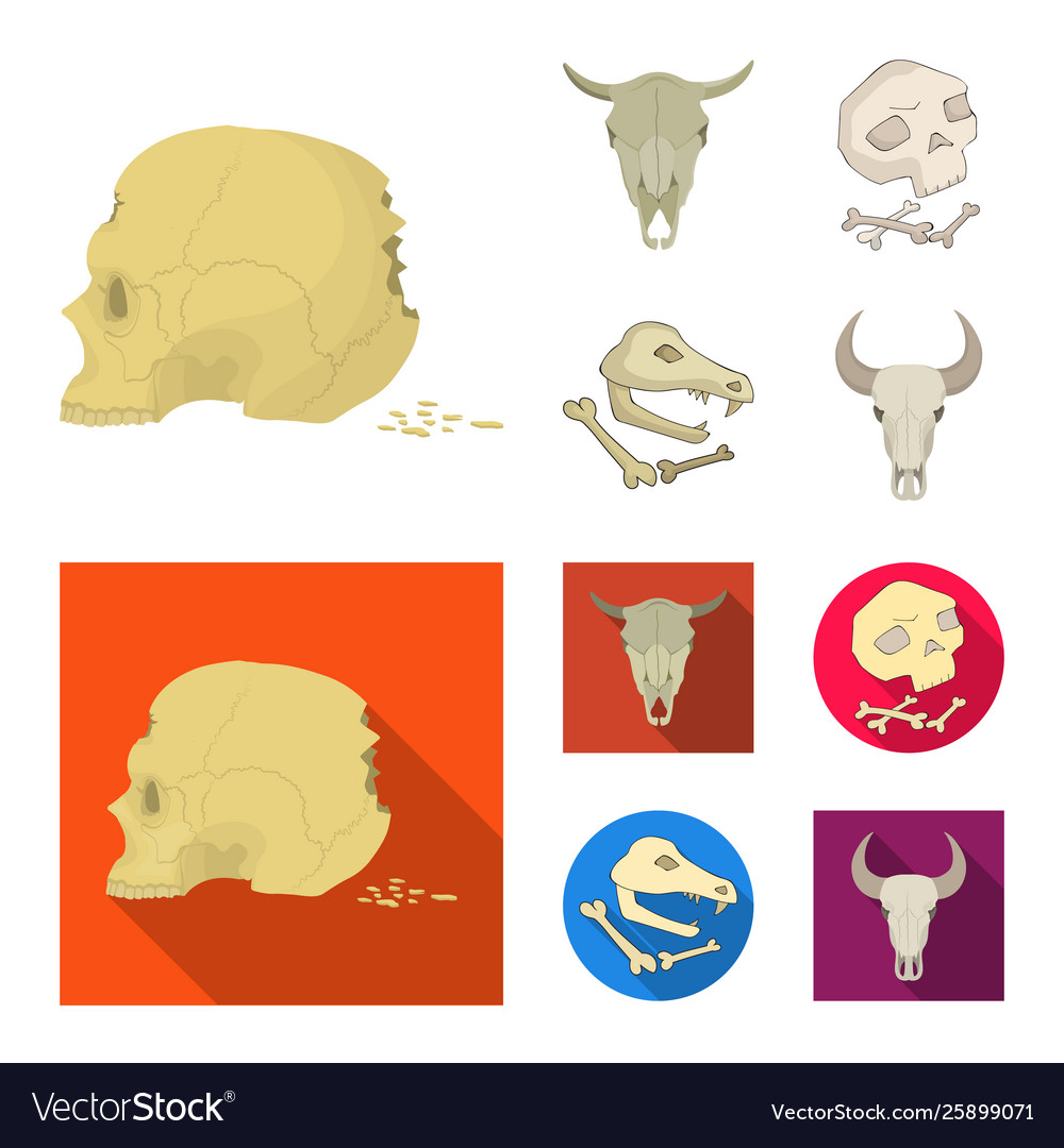 Design skeleton and character sign set