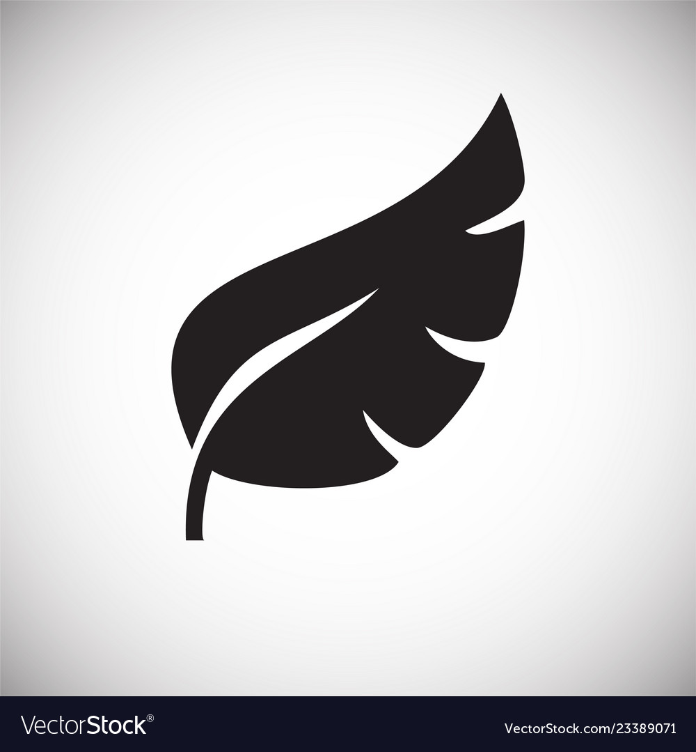 Leaf icon on white background for graphic and web