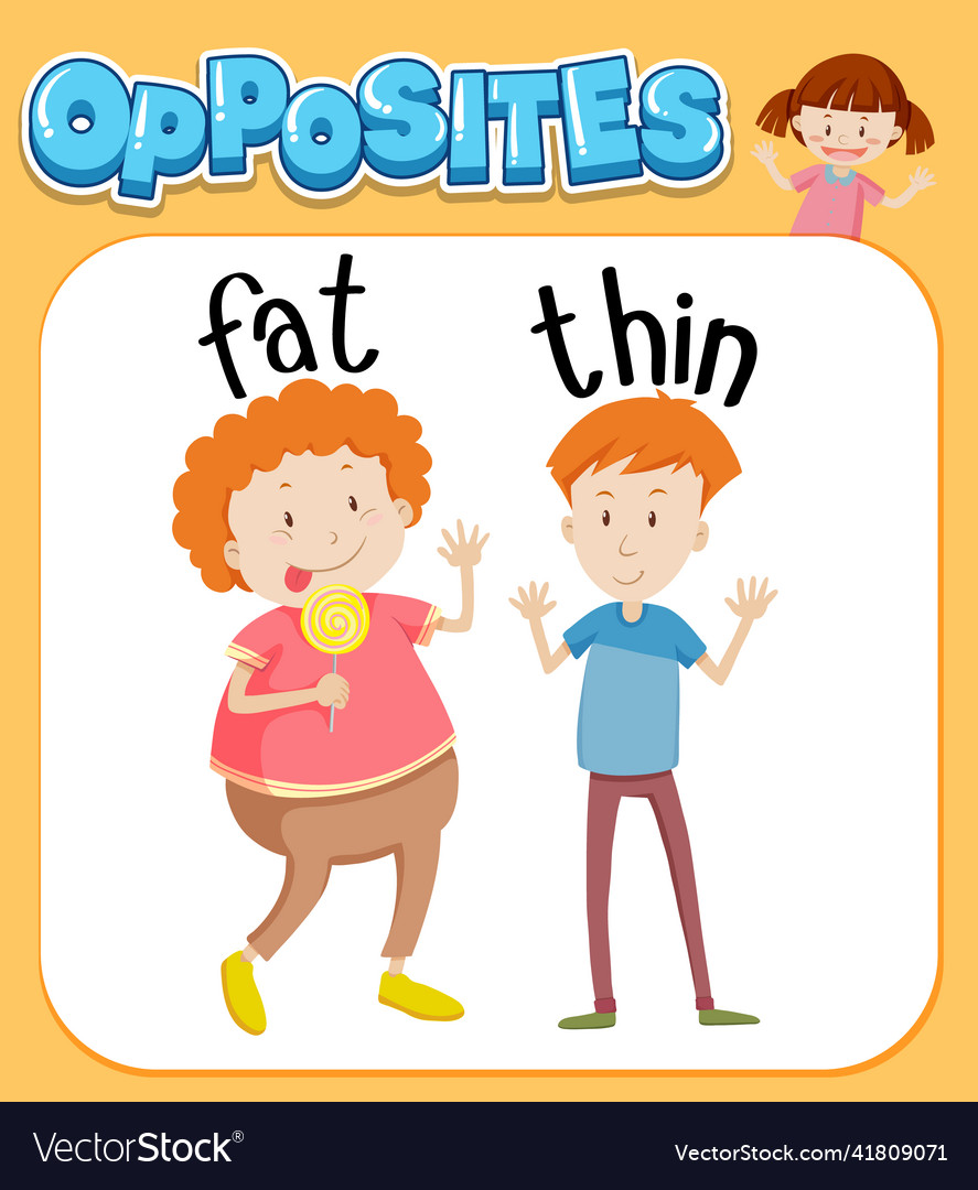 Opposite Words For Fat And Thin Royalty Free Vector Image