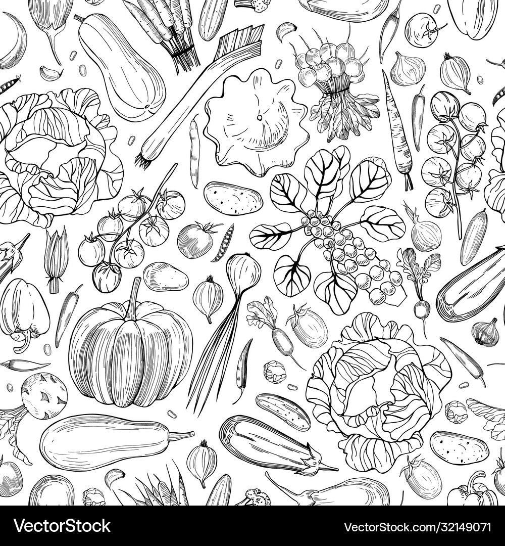 Seamless pattern with hand drawn vegetables Vector Image