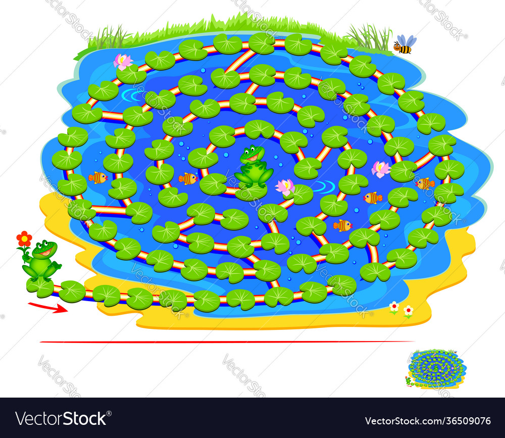 Labyrinth Frog Puzzle Game