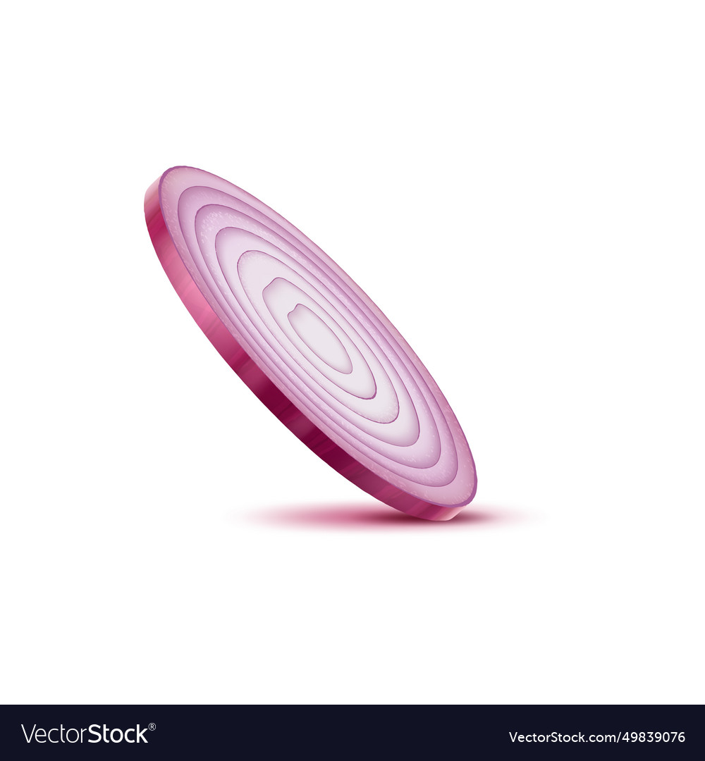 Realistic red raw onion slice 3d round bulb part