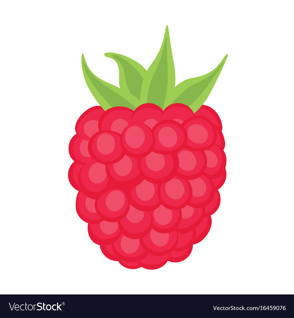 Red Raspberry with Leaf