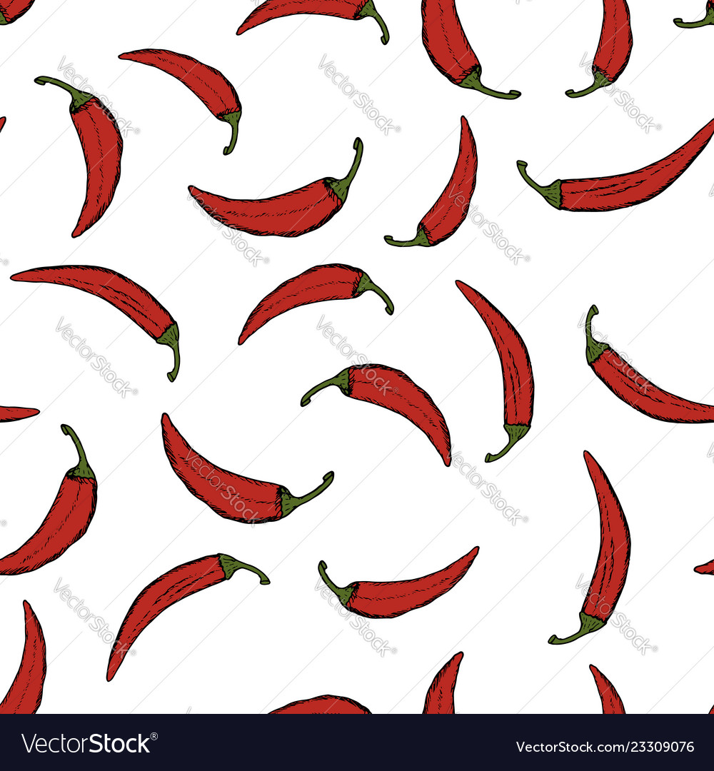 Seamless pattern with hand drawn chilli