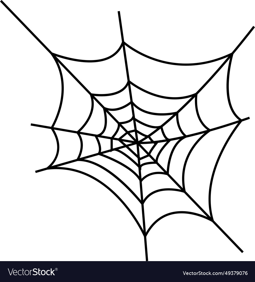 Spider web on transparent background spiderweb
