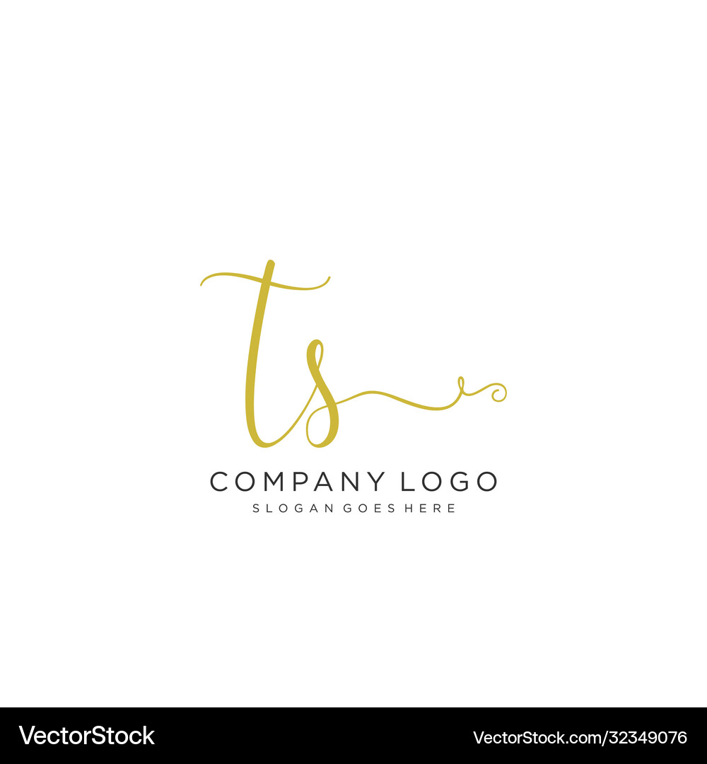 Ts initial handwriting logo design Royalty Free Vector Image