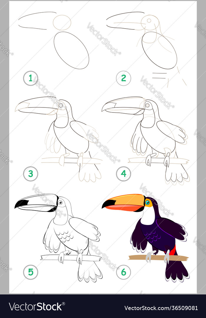 Page shows how to learn step draw vector image Page shows how to learn step draw