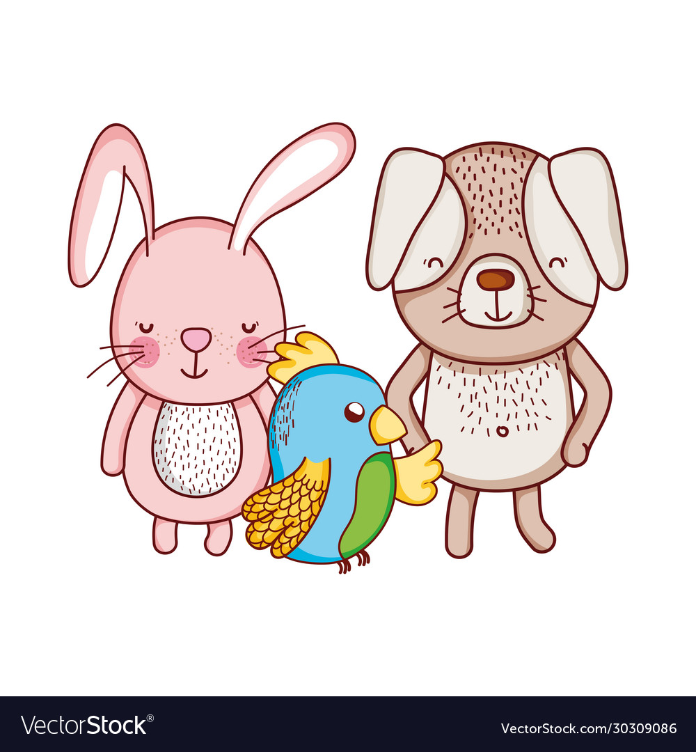 Cute animals rabbit dog and parrot cartoon