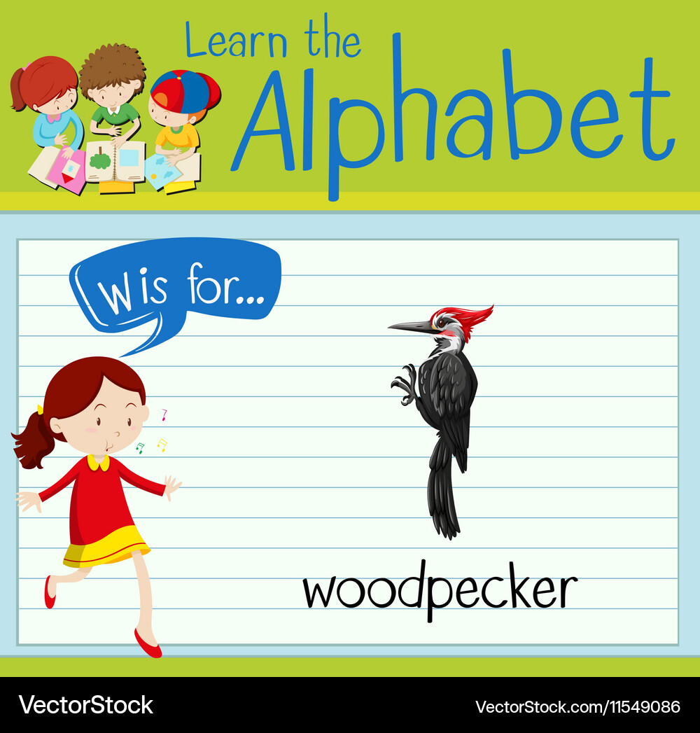 Flashcard alphabet w is for woodpecker Royalty Free Vector