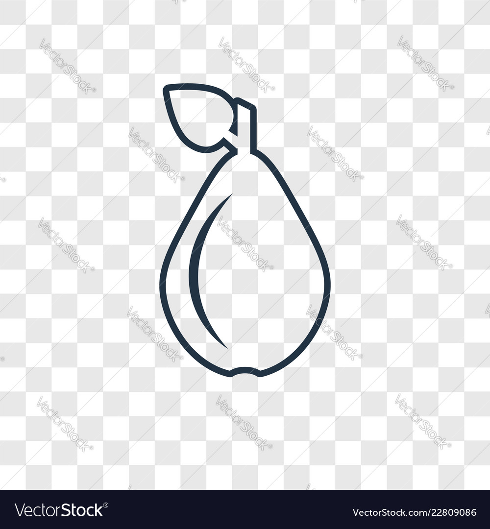 Pear concept linear icon isolated on transparent