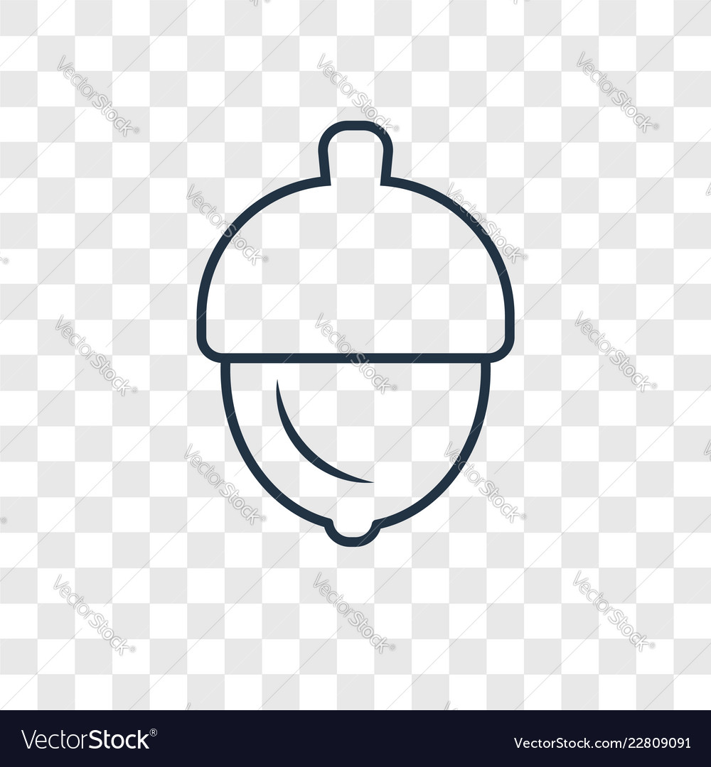 Acorn concept linear icon isolated on transparent