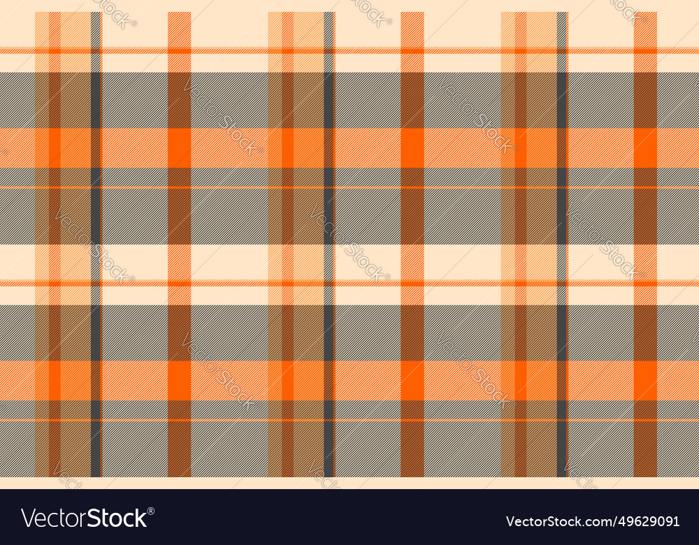 Check pattern textile of texture fabric vector image Check pattern textile of texture fabric