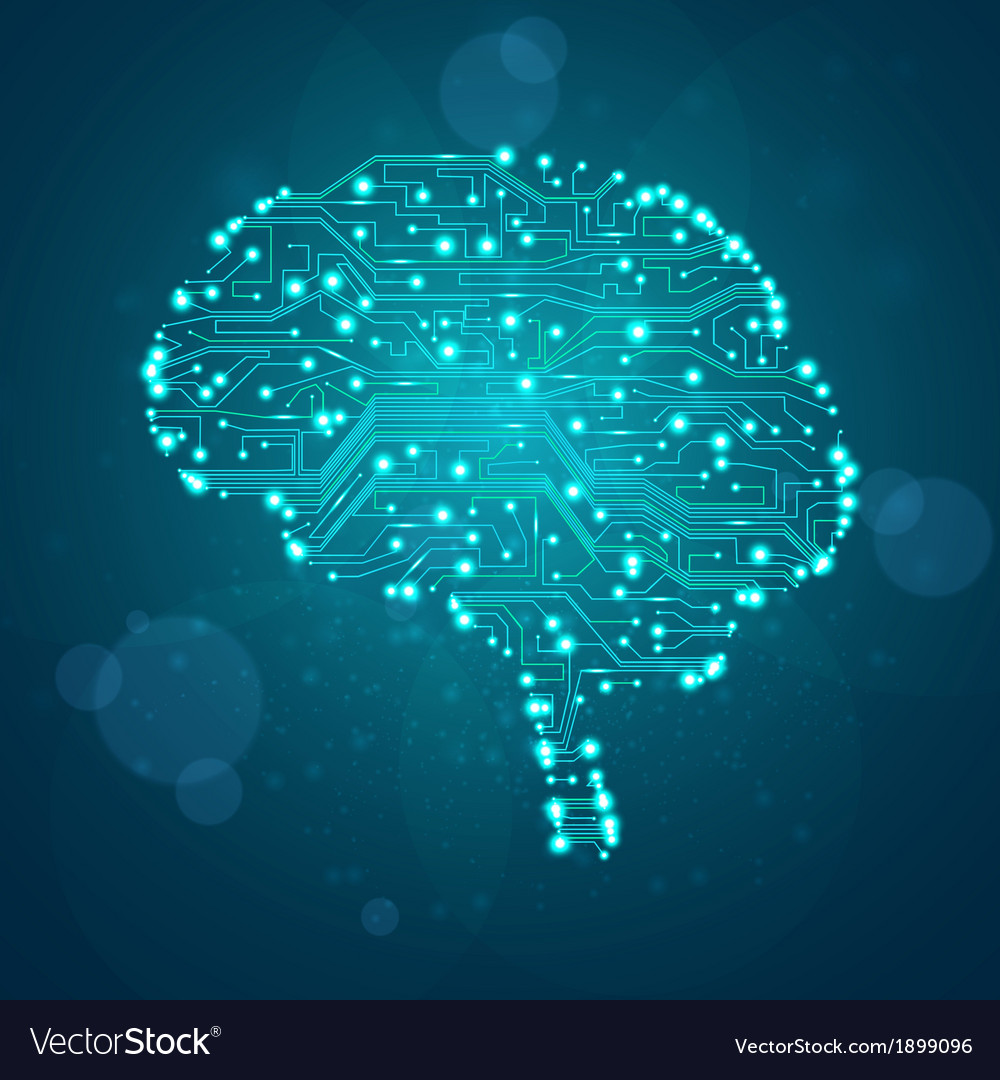 Digital Brain Circuit Network