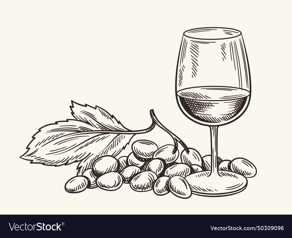 Handdraw winery concept Royalty Free Vector Image