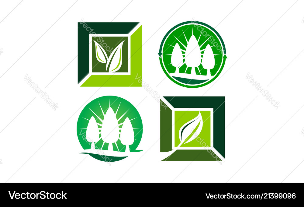 Leaf template set Royalty Free Vector Image - VectorStock