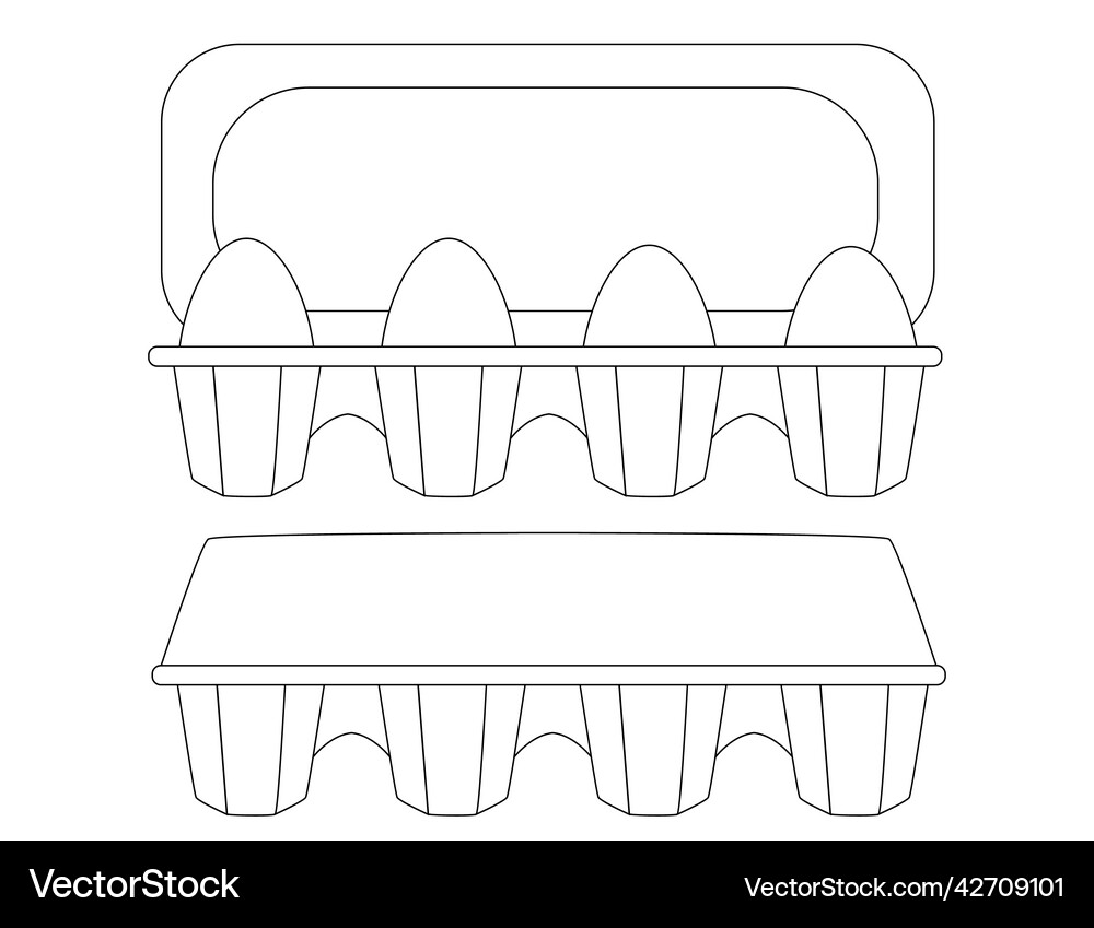 Chicken eggs in paper carton tray egg box open Vector Image
