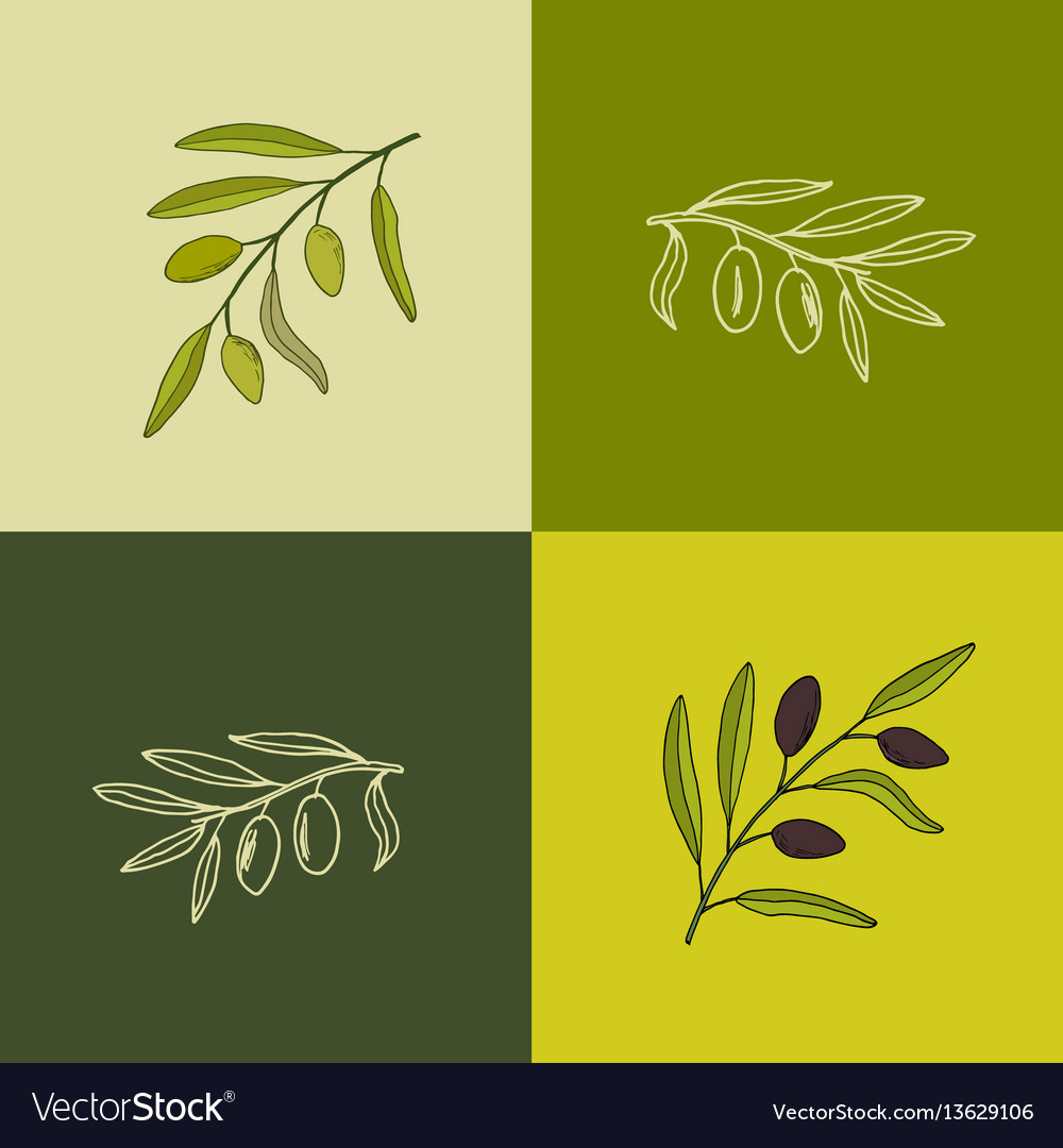 Set of olive branches