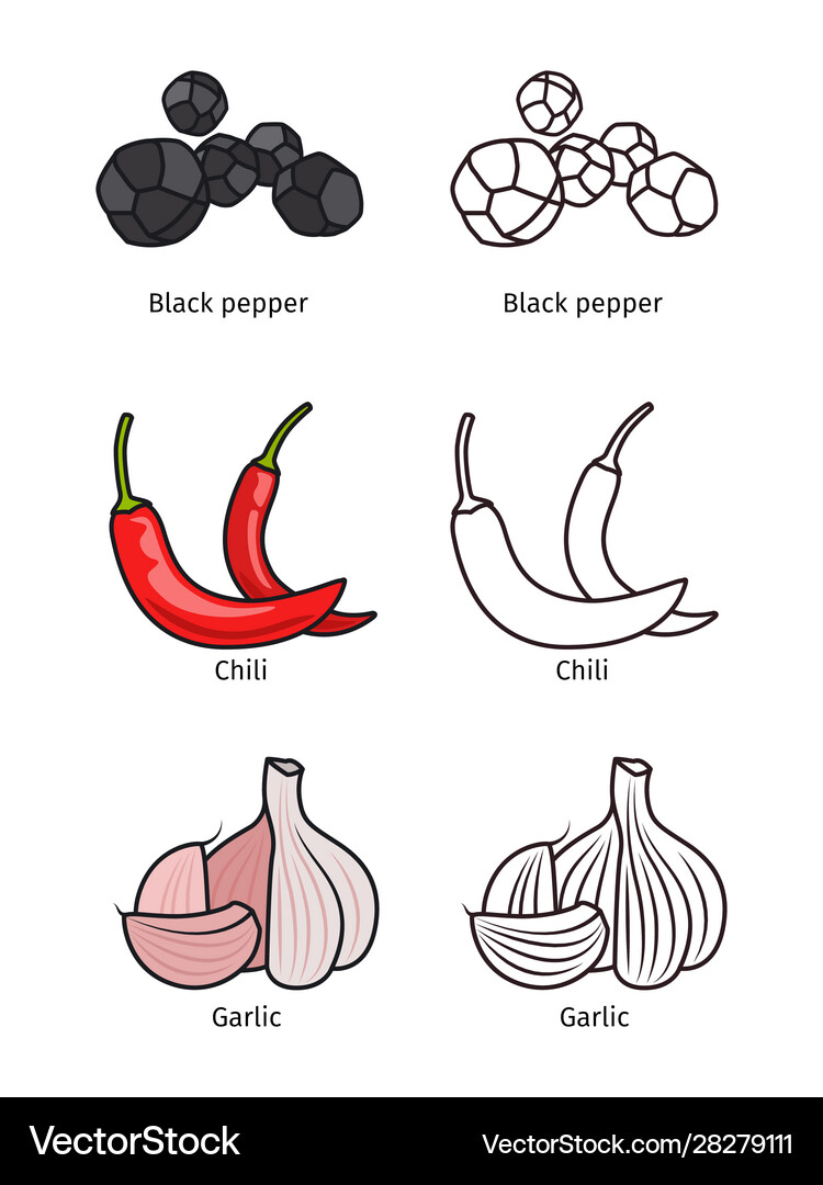 Black pepper chili and garlic Royalty Free Vector Image