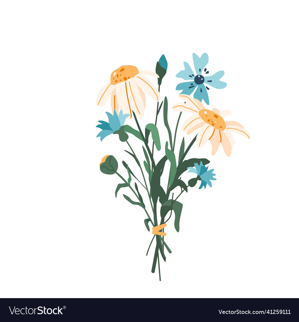 Flower bouquet with cornflower and chamomile Vector Image