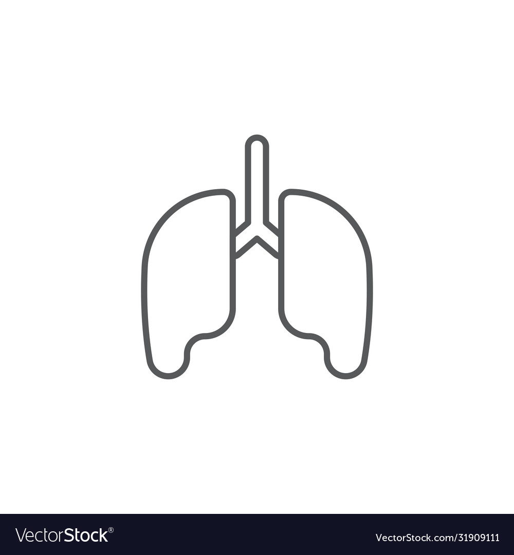 Human lungs icon symbol isolated on white Vector Image