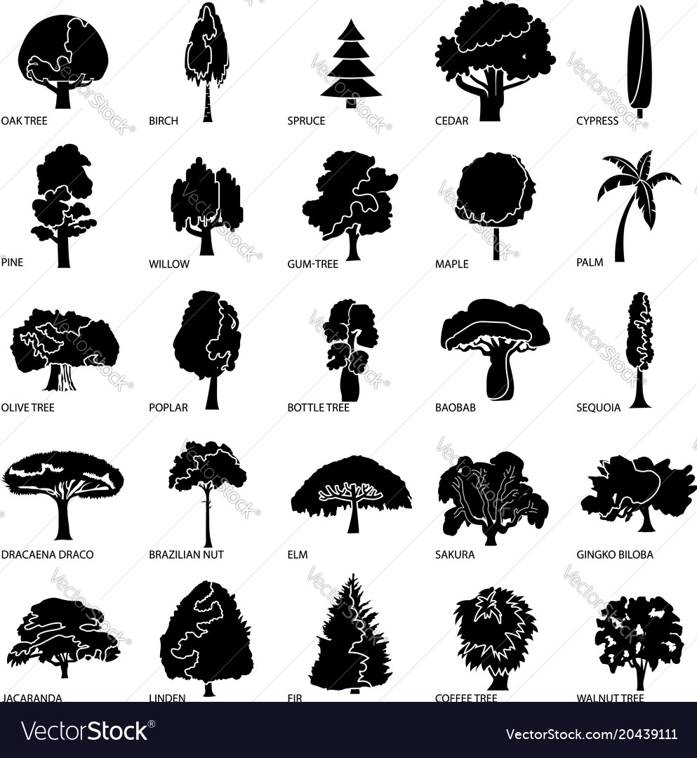 Tree types icons set simple style Royalty Free Vector Image