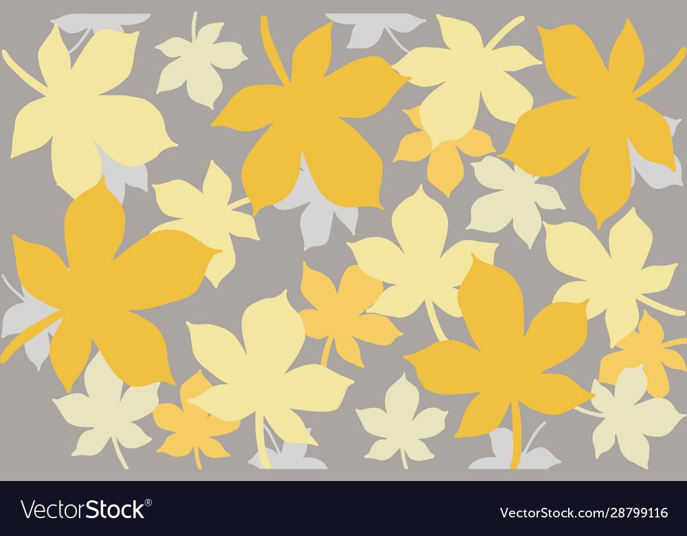 A pattern yellow leaves